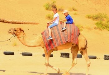 Europe Group Travel Planning for Ras Al Khaimah Agents