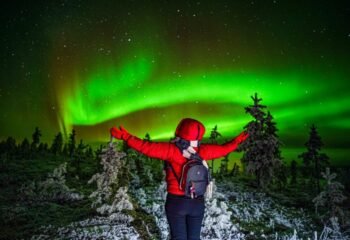 Northern Lights & Nature Tours