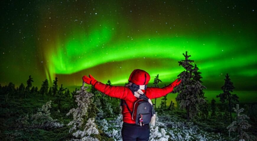 Northern Lights & Nature Tours