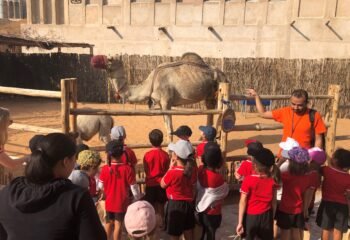 Student Educational Trips to Europe from Umm Al Quwain