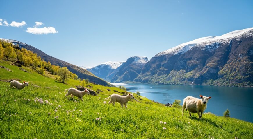 Norway Fjords & Scenic Tours from Ras Al Khaimah