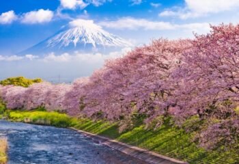 Book Europe cherry blossom tour from Oman